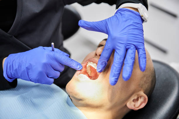 Best Urgent Tooth Repair  in Webberville, MI