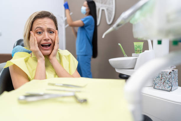 Best 24-Hour Emergency Dentist  in Webberville, MI