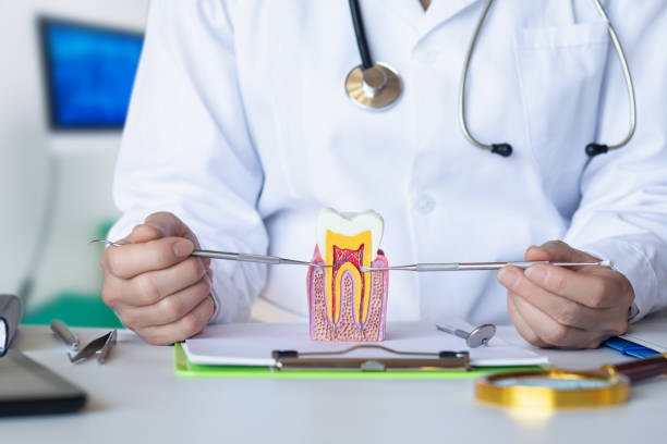 Best Dentist for Tooth Abscess  in Webberville, MI